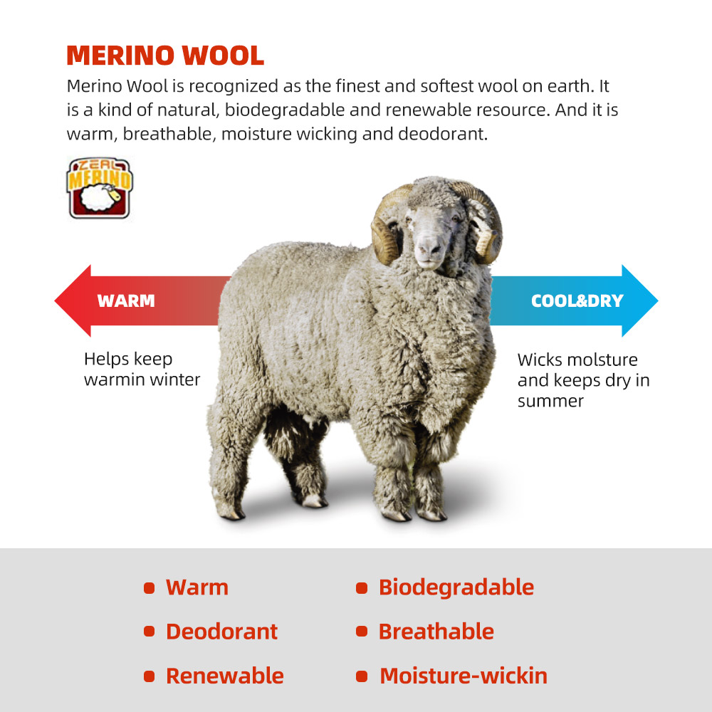 ZEALWOOD wełniane skarpetki do – Wool Hiking Sock recenzja i cena
