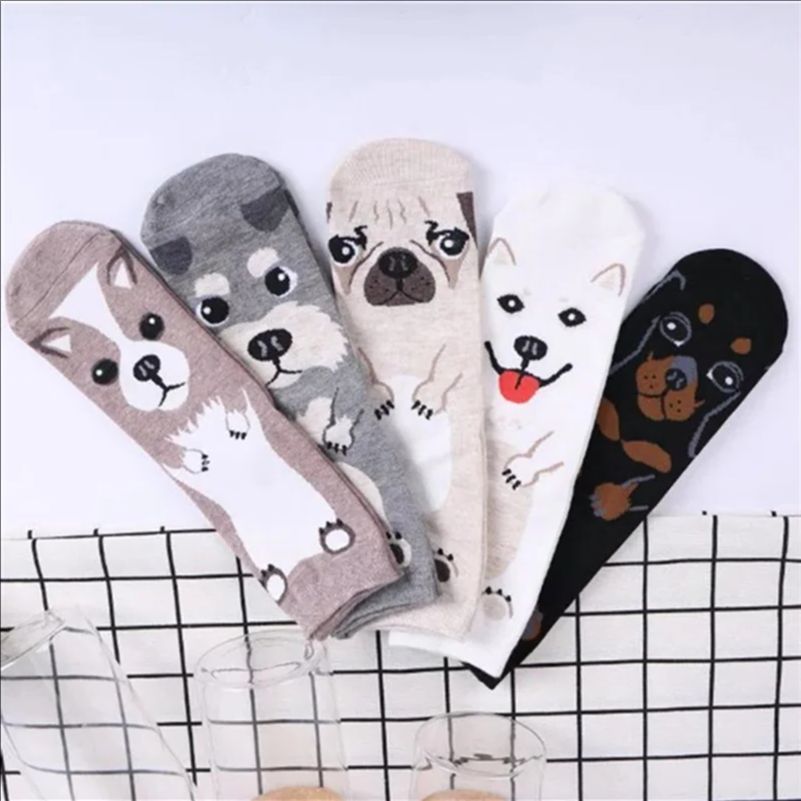 5 par/opakowanie Śmieszne Skar – Cotton Crew Sock Pack recenzja i cena